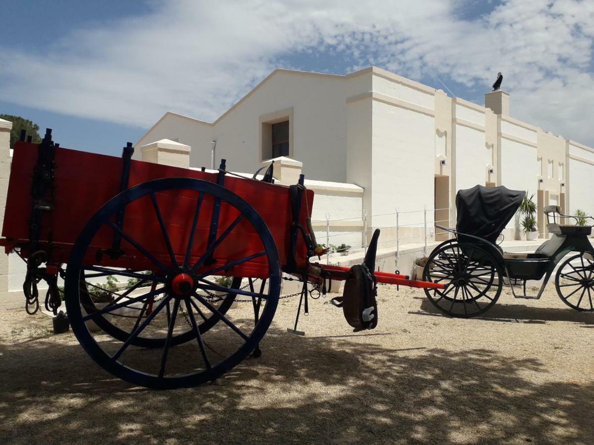 Casa Vacanza Mary Daire Santeramo in Colle Dış mekan fotoğraf